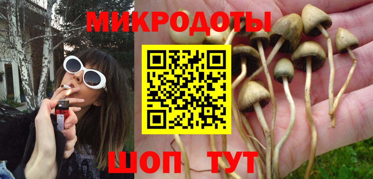Псилоцибиновые грибы Cubensis Михайловка